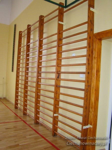 School gym 2025 wall bars